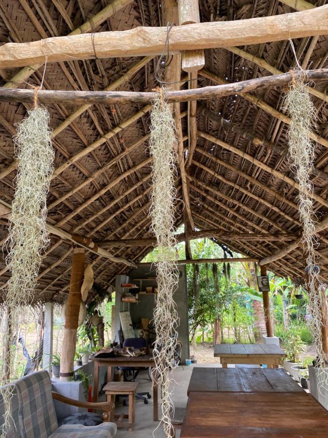 The Dale Mirissa Hotel Bagian luar foto